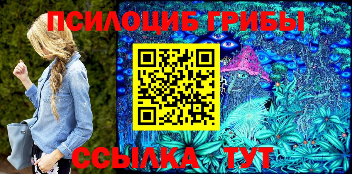 Черногорск  Галлюциногенные грибы GOLDEN TEACHER  Вход с VPN 