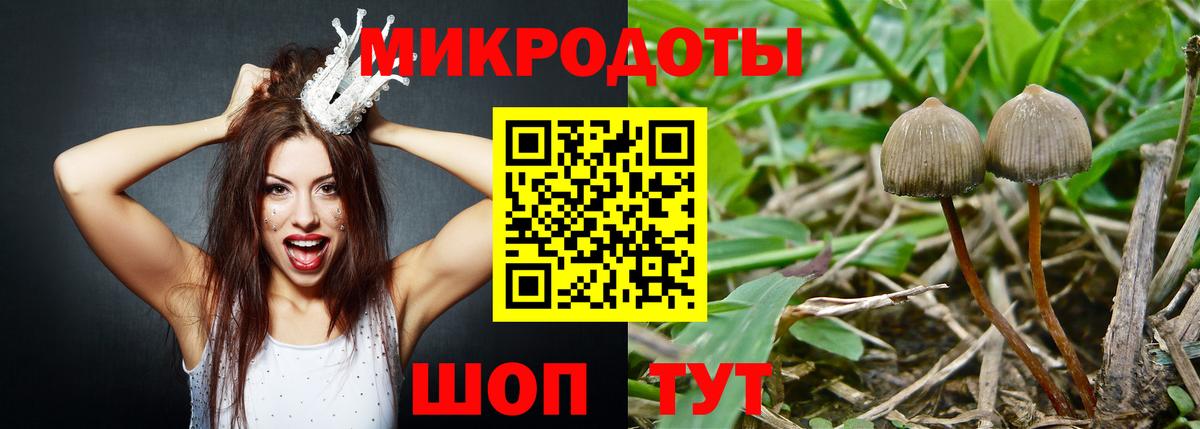 Галлюциногенные грибы мицелий Черногорск
